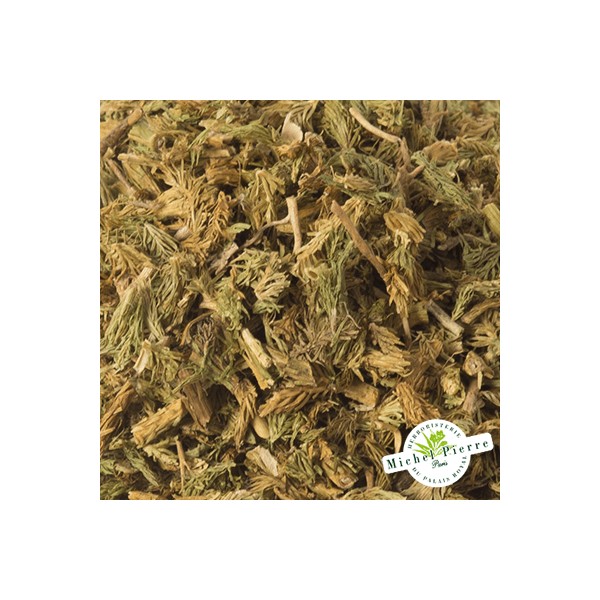 Lycopode en vrac - HERBORISTERIE DU PALAIS ROYAL PARIS MICHEL PIERRE