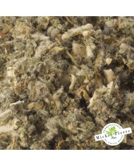 Marrube blanc - Parties aériennes en vrac - HERBORISTERIE DU PALAIS ROYAL PARIS MICHEL PIERRE