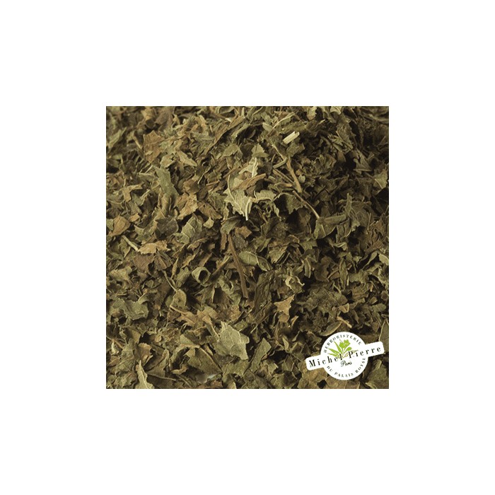 Mélisse - Feuilles en vrac - HEBORISTERIE DU PALAIS ROYAL PARIS MICHEL PIERRE