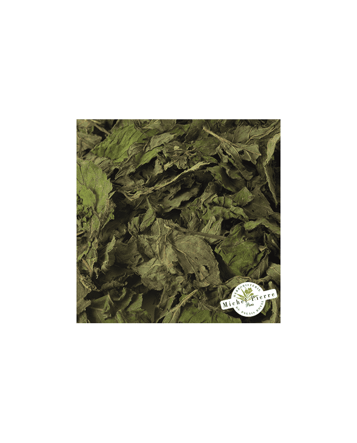 Menthe poivrée en vrac - HEBORISTERIE DU PALAIS ROYAL PARIS MICHEL PIERRE