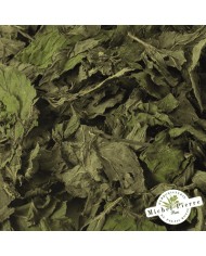 Menthe poivrée en vrac - HEBORISTERIE DU PALAIS ROYAL PARIS MICHEL PIERRE