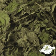 Menthe poivrée en vrac - HEBORISTERIE DU PALAIS ROYAL PARIS MICHEL PIERRE