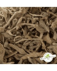 Menthe pouliot en vrac -  HEBORISTERIE DU PALAIS ROYAL PARIS MICHEL PIERRE