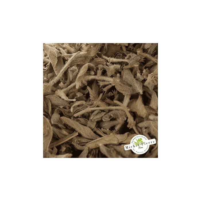Menthe pouliot en vrac -  HEBORISTERIE DU PALAIS ROYAL PARIS MICHEL PIERRE