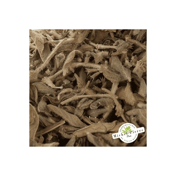 Menthe pouliot en vrac -  HEBORISTERIE DU PALAIS ROYAL PARIS MICHEL PIERRE