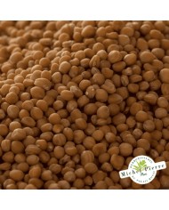 Moutarde jaune - Graines en vrac -  HEBORISTERIE DU PALAIS ROYAL PARIS MICHEL PIERRE