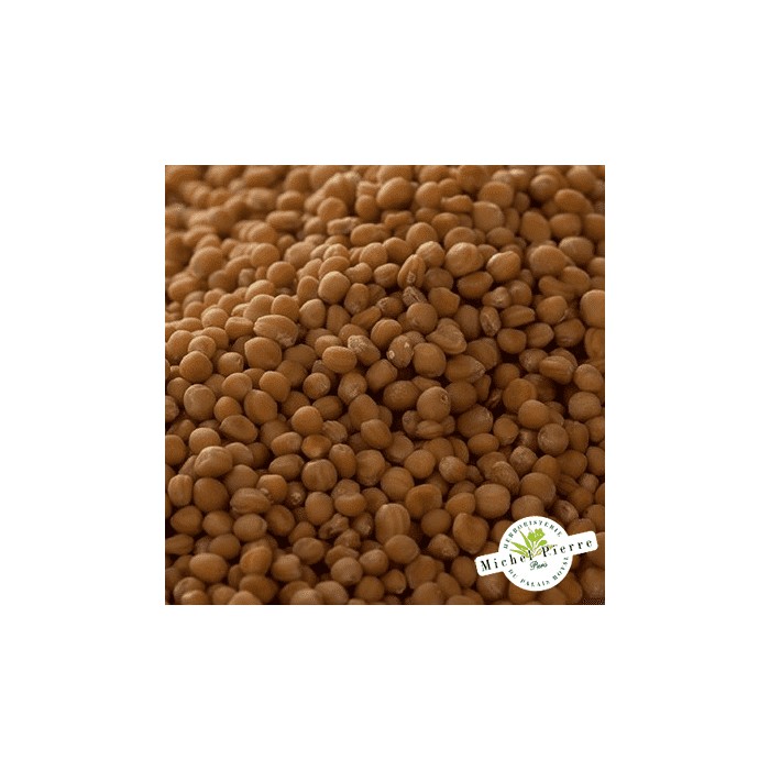 Moutarde jaune - Graines en vrac -  HEBORISTERIE DU PALAIS ROYAL PARIS MICHEL PIERRE