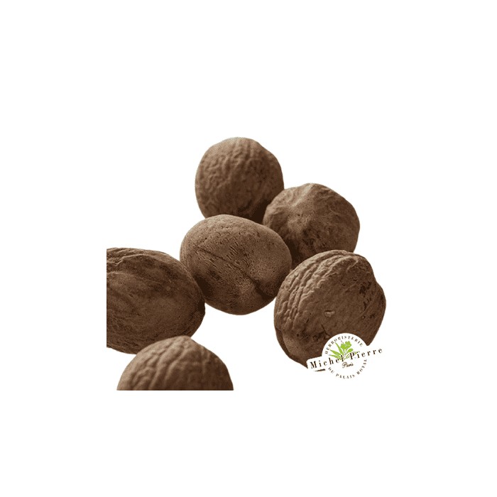 Muscade - Noix en vrac (5 pièces) - HERBORISTERIE DU PALAIS ROYAL PARIS MICHEL PIERRE