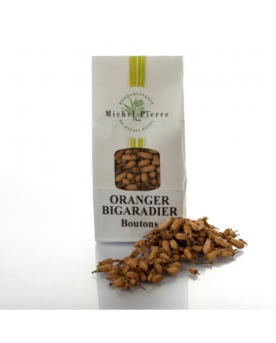 Oranger bigaradier - Boutons en vrac Oranger bigaradier - Boutons en vrac