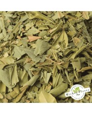 Myrte - Feuilles en vrac - HERBORISTERIE DU PALAIS ROYAL PARIS MICHEL PIERRE Myrte - Feuilles en vrac - HERBORISTERIE DU PALAIS ROYAL PARIS MICHEL PIERRE