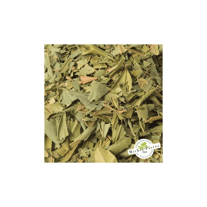 Myrte - Feuilles en vrac - HERBORISTERIE DU PALAIS ROYAL PARIS MICHEL PIERRE