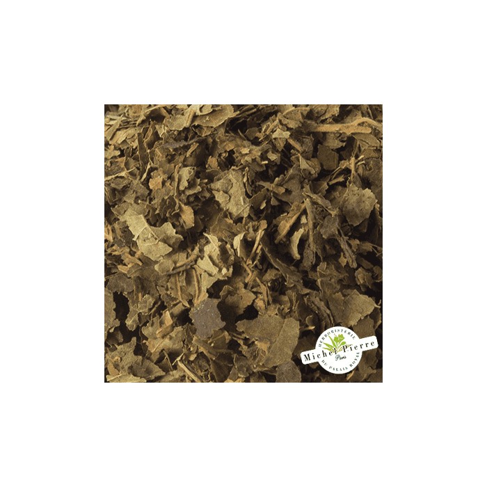 Noisetier - Feuilles en vrac - HERBORISTERIE DU PALAIS ROYAL PARIS MICHEL PIERRE