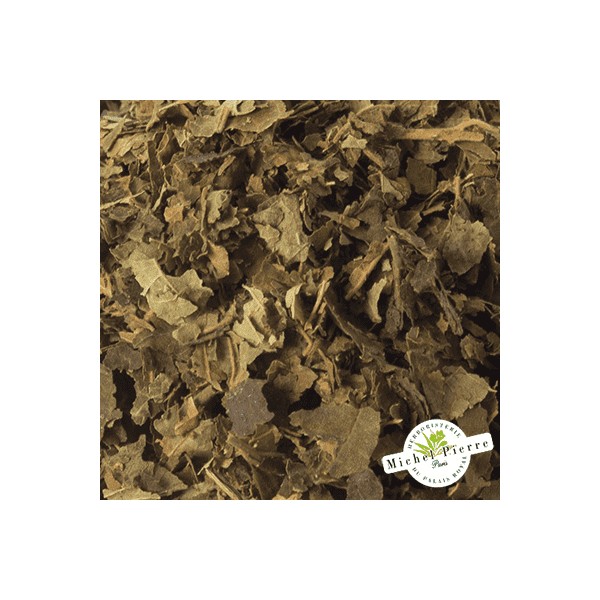 Noisetier - Feuilles en vrac - HERBORISTERIE DU PALAIS ROYAL PARIS MICHEL PIERRE