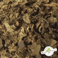 Noisetier - Feuilles en vrac - HERBORISTERIE DU PALAIS ROYAL PARIS MICHEL PIERRE Noisetier - Feuilles en vrac - HERBORISTERIE DU PALAIS ROYAL PARIS MICHEL PIERRE