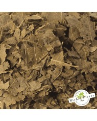 Noyer - Feuilles en vrac - HERBORISTERIE DU PALAIS ROYAL PARIS MICHEL PIERRE Noyer - Feuilles en vrac - HERBORISTERIE DU PALAIS ROYAL PARIS MICHEL PIERRE