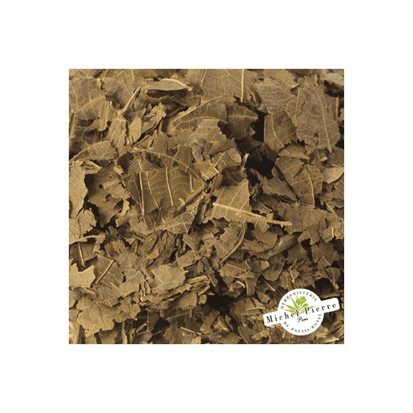 Noyer - Feuilles en vrac - HERBORISTERIE DU PALAIS ROYAL PARIS MICHEL PIERRE