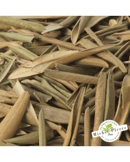 Olivier - Feuilles en vrac- HERBORISTERIE DU PALAIS ROYAL PARIS MICHEL PIERRE