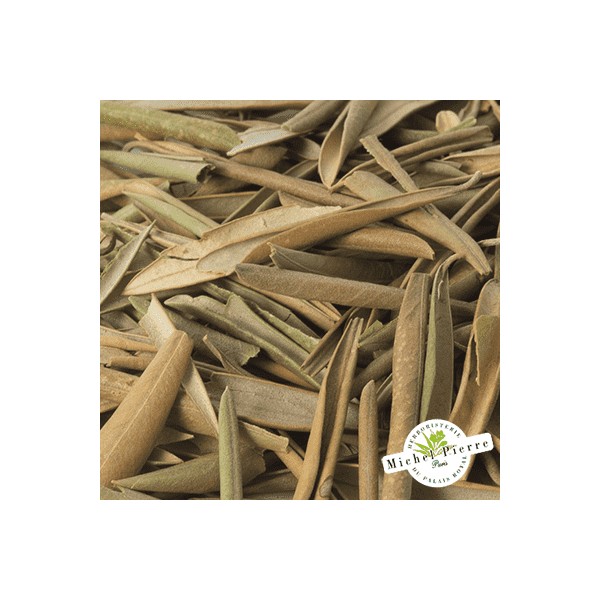 Olivier - Feuilles en vrac- HERBORISTERIE DU PALAIS ROYAL PARIS MICHEL PIERRE