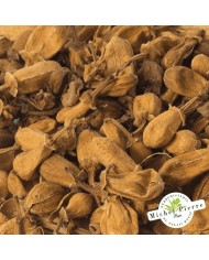 Oranger bigaradier - Boutons en vrac - HERBORISTERIE DU PALAIS ROYAL PARIS MICHEL PIERRE