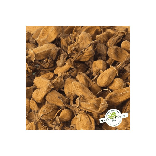 Oranger bigaradier - Boutons en vrac - HERBORISTERIE DU PALAIS ROYAL PARIS MICHEL PIERRE