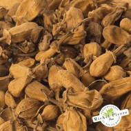 Oranger bigaradier - Boutons en vrac - HERBORISTERIE DU PALAIS ROYAL PARIS MICHEL PIERRE