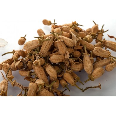 Oranger bigaradier - Boutons en vrac