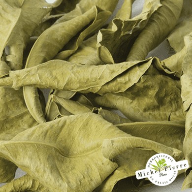 Oranger bigaradier - Feuilles en vrac - HERBORISTERIE DU PALAIS ROYAL PARIS MICHEL PIERRE Oranger bigaradier - Feuilles en vrac - HERBORISTERIE DU PALAIS ROYAL PARIS MICHEL PIERRE