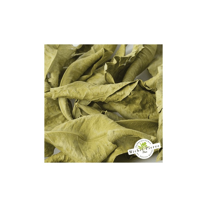 Oranger bigaradier - Feuilles en vrac - HERBORISTERIE DU PALAIS ROYAL PARIS MICHEL PIERRE