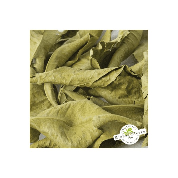 Oranger bigaradier - Feuilles en vrac - HERBORISTERIE DU PALAIS ROYAL PARIS MICHEL PIERRE