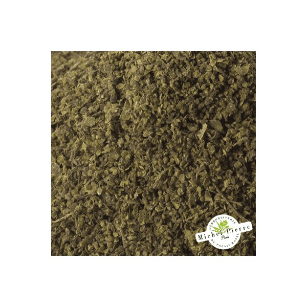 Ortie piquante - Semences en vrac - HERBORISTERIE DU PALAIS ROYAL PARIS MICHEL PIERRE