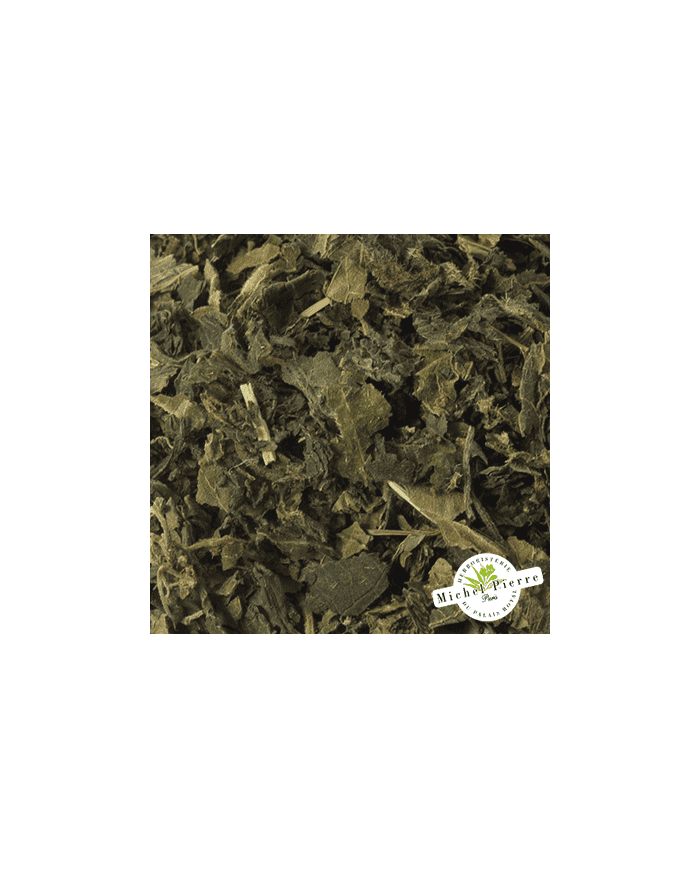 Ortie piquante - Feuilles en vrac - HERBORISTERIE DU PALAIS ROYAL PARIS MICHEL PIERRE