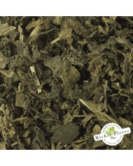 Ortie piquante - Feuilles en vrac - HERBORISTERIE DU PALAIS ROYAL PARIS MICHEL PIERRE