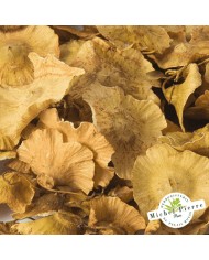 Paliure - Fruit en vrac - HERBORISTERIE DU PALAIS ROYAL PARIS MICHEL PIERRE