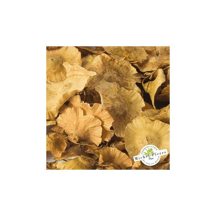 Paliure - Fruit en vrac - HERBORISTERIE DU PALAIS ROYAL PARIS MICHEL PIERRE