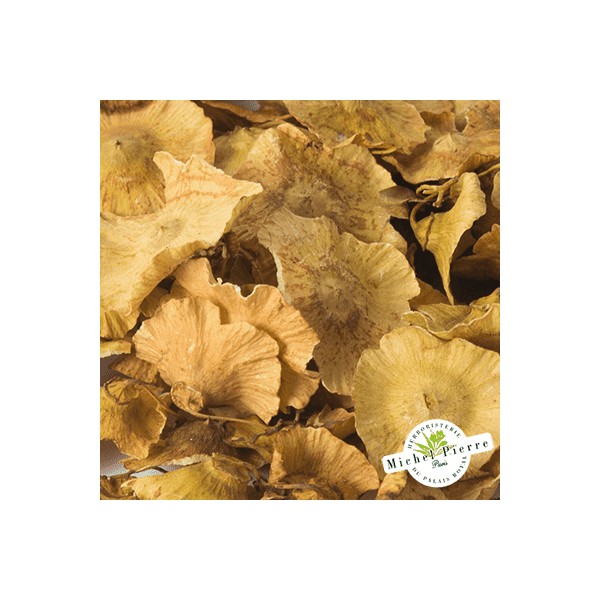 Paliure - Fruit en vrac - HERBORISTERIE DU PALAIS ROYAL PARIS MICHEL PIERRE