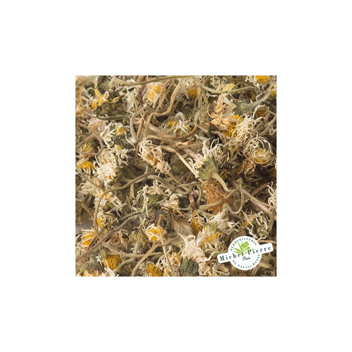 Pâquerette - Fleurs en vrac - HERBORISTERIE DU PALAIS ROYAL PARIS MICHEL PIERRE