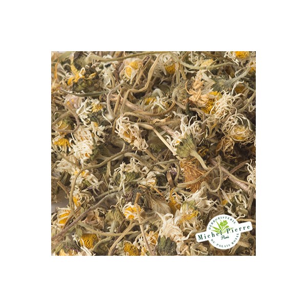 Pâquerette - Fleurs en vrac - HERBORISTERIE DU PALAIS ROYAL PARIS MICHEL PIERRE