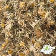 Pâquerette - Fleurs en vrac - HERBORISTERIE DU PALAIS ROYAL PARIS MICHEL PIERRE