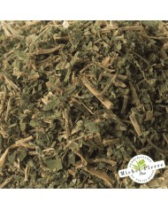 Pariétaire - Sommités en vrac - HERBORISTERIE DU PALAIS ROYAL PARIS MICHEL PIERRE Pariétaire - Sommités en vrac - HERBORISTERIE DU PALAIS ROYAL PARIS MICHEL PIERRE