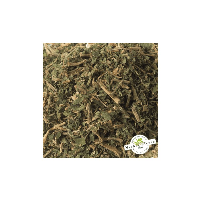 Pariétaire - Sommités en vrac - HERBORISTERIE DU PALAIS ROYAL PARIS MICHEL PIERRE