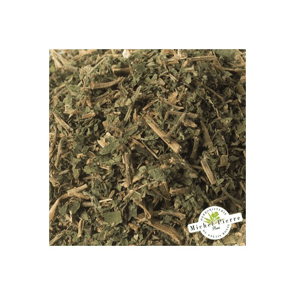 Pariétaire - Sommités en vrac - HERBORISTERIE DU PALAIS ROYAL PARIS MICHEL PIERRE