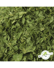 Persil - Feuilles en vrac - HERBORISTERIE DU PALAIS ROYAL PARIS MICHEL PIERRE Persil - Feuilles en vrac - HERBORISTERIE DU PALAIS ROYAL PARIS MICHEL PIERRE
