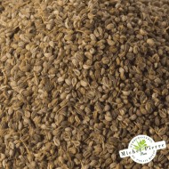 Persil - Graines en vrac - HERBORISTERIE DU PALAIS ROYAL PARIS MICHEL PIERRE