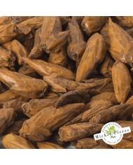 Peuplier - Bourgeons en vrac- HERBORISTERIE DU PALAIS ROYAL PARIS MICHEL PIERRE Peuplier - Bourgeons en vrac- HERBORISTERIE DU PALAIS ROYAL PARIS MICHEL PIERRE