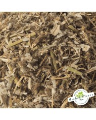 Piloselle - Sommités en vrac - HERBORISTERIE DU PALAIS ROYAL PARIS MICHEL PIERRE