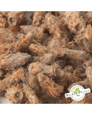 Pin sylvestre - Bourgeons en vrac- HERBORISTERIE DU PALAIS ROYAL PARIS MICHEL PIERRE