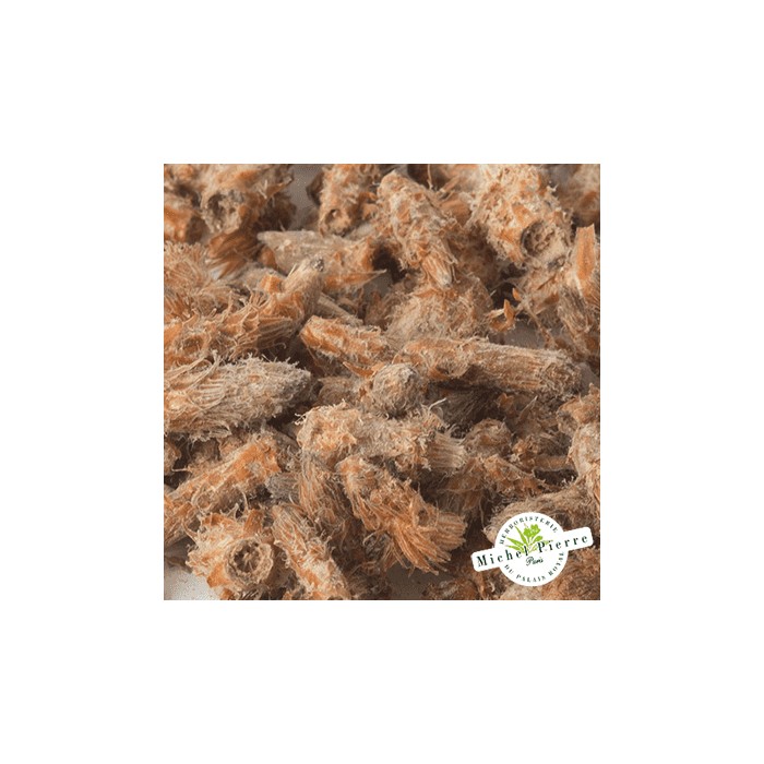 Pin sylvestre - Bourgeons en vrac- HERBORISTERIE DU PALAIS ROYAL PARIS MICHEL PIERRE