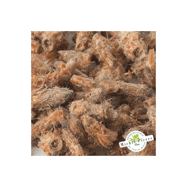 Pin sylvestre - Bourgeons en vrac- HERBORISTERIE DU PALAIS ROYAL PARIS MICHEL PIERRE