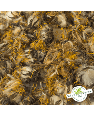 Pissenlit - Fleurs en vrac - HERBORISTERIE DU PALAIS ROYAL PARIS MICHEL PIERRE