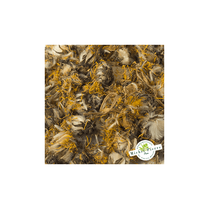Pissenlit - Fleurs en vrac - HERBORISTERIE DU PALAIS ROYAL PARIS MICHEL PIERRE